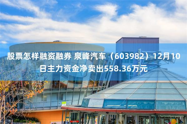 股票怎样融资融券 泉峰汽车（603982）12月10日主力资金净卖出558.36万元