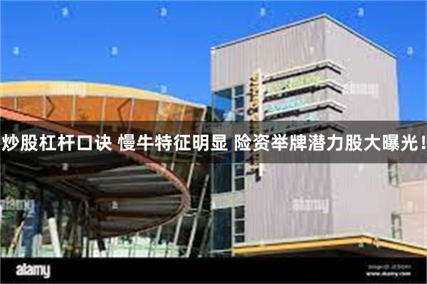 炒股杠杆口诀 慢牛特征明显 险资举牌潜力股大曝光！