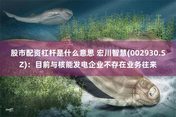 股市配资杠杆是什么意思 宏川智慧(002930.SZ)：目前与核能发电企业不存在业务往来
