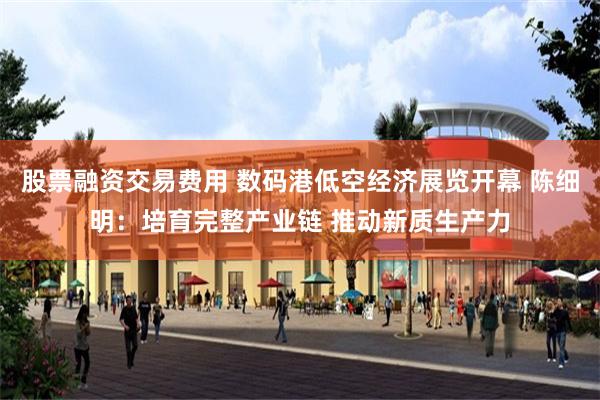 股票融资交易费用 数码港低空经济展览开幕 陈细明：培育完整产业链 推动新质生产力
