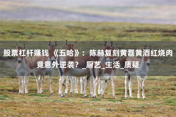 股票杠杆赚钱 《五哈》：陈赫复刻黄磊黄酒红烧肉竟意外逆袭？_厨艺_生活_质疑
