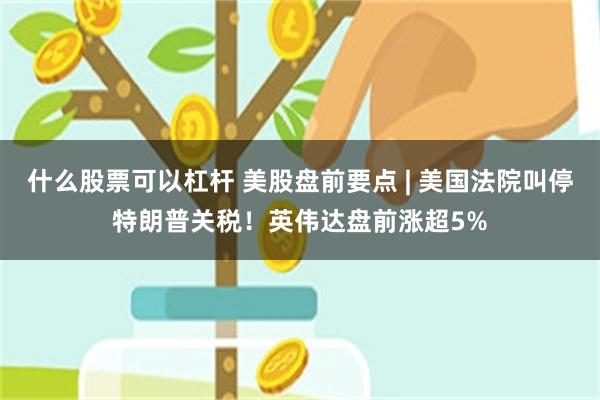 什么股票可以杠杆 美股盘前要点 | 美国法院叫停特朗普关税！英伟达盘前涨超5%